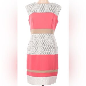 Sandra Darren Pink and Cream Dress